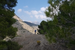 Natur pur