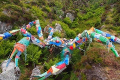die Plastikkrabbe gibts dank dem vielen  Müll im Meer :-(