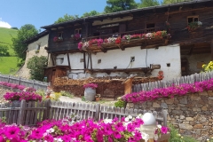 Sommer im Vinschgau