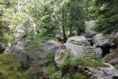 auf dem Meraner Höhenweg