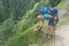 kleine Weggefährtin