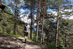 runter vom Berg im Sonnenschein