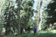 auf dem Jägersteig