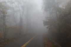 ... und der Grey Ridge Parkway