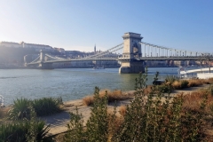 die Kettenbrücke in Budapest