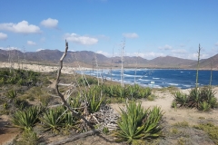 Cabo di Gata