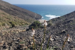 Cabo di Gata