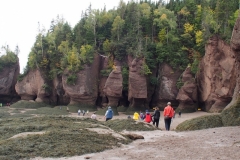 die Hopewell Rocks bei Ebbe