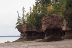 die Hopewell Rocks bei Ebbe