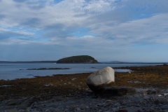 kleiner Findling in der Bay of Fundy