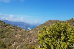 Aussicht in die Bucht