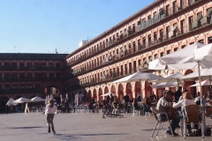 Freiluftstimmung in Cordoba