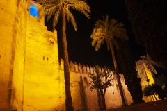 abends in Cordoba ...