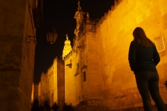 abends in Cordoba ...