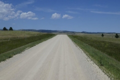 Game Drive im Custer