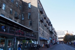 Savannah