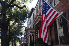 Savannah