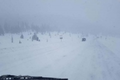 auf dem Wolf Creek Pass - 3500 Meter