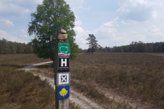 auf Testfahrt in der Südheide