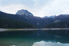 Die Bären überm Schwarzen See