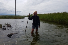 Vilsandi NP - Wasserstand passt noch