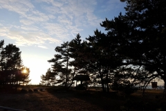 wieder ein schönes RMK-Plätzchen