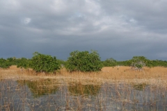 auf Paddeltour in den Mangroven