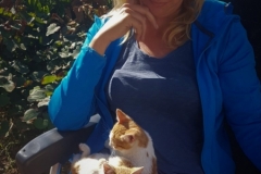 eigentlich mag ich gar keine Katzen ...