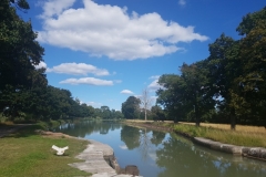 Gotakanal