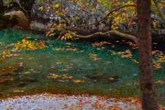 die Quelle des Voidomatis in der Vikosschlucht