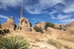 in der City of Rocks