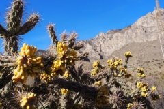 Guadalupe Mountains