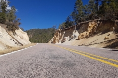 auf dem Weg in die Gila Wilderness