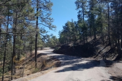 unser Lieblingsstück der mountain road