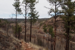 Blick auf den Gila River