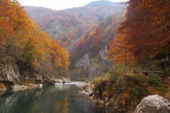 Indian Summer in der Taraschlucht