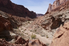 Syncline Trail