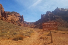Syncline Trail