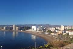 Aguilas