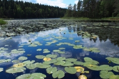 P7090312