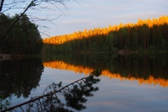 P7090368