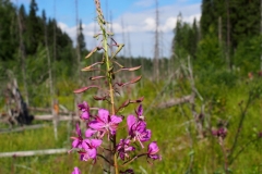 P7120383