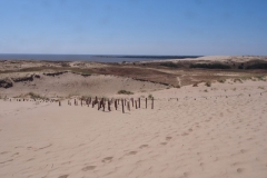 auf der Parnidder Düne