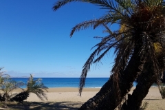 Palmenstrand Vai