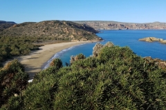 Palmenstrand Vai