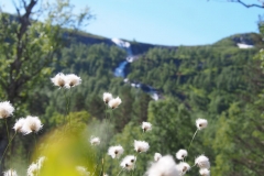 Gaularfjellet - Norwegen 2016