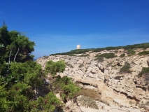 Sarazenenturm am Capo Mannu