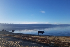Strandspaziergang