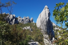 im Nationalpark Paklenica