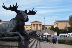 Museum of Arts